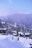 Schweizer Chalets in schneebedeckter Landschaft