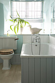 A traditional country bathroom in blue bath with tongue and groove wood panelling low cistern toilet roman blind at window house plant