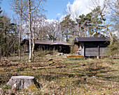 An exterior view of Scandinavian summerhouse in woods