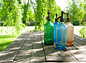 Colourful soda siphons on a wooden garden table in garden with vibrant green foliage