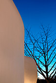 Modern stucco finished facade and tree