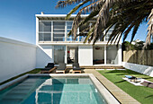 Building exterior with poolside Sunloungers under palm tree