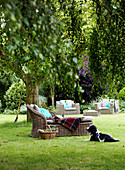 Dog sits with cane daybed below tree in summer garden
