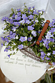 Purple flowers in wire mesh hanging basket