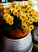 Yellow flowers in pumpkin on metal barrel at summer fete