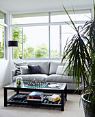 Grey sofa and houseplant in living room with sliding glass windows