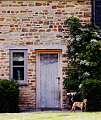 Hund steht vor der verwitterten Tür eines Landhauses aus Stein