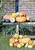 Pumpkins on wooden bench in garden exterior Woking Surrey England UK
