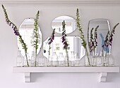 Vintage mirrors and bottles with foxglove (Digitalis) on shelf in Staffordshire home, England, UK