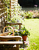 Garden trug on bench with trellis in Oxfordshire cottage garden England UK