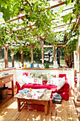 Weinreben wachsen über rotem Sofa in Wintergartenerweiterung eines Cottages in Devonshire UK