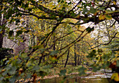 Steinfassade einer Getreidemühle aus dem 19. Jahrhundert in den Scottish Borders mit Blick durch die Zweige der Herbstbäume