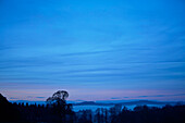 Evening mist and night sky in Northumberland, UK