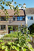 Raised vegetable beds in back garden of wood clad Bath home, Wiltshire, UK