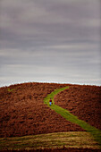 Woman on hillside at Offa's Dyke Path in Gladestry on the South Wales borders