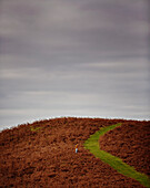 Frau am Hang des Offa's Dyke Path in Gladestry an der Grenze zu Südwales