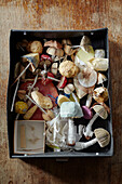 Collection of handmade paper toadstools in Gladestry studio on South Wales borders