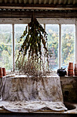 Getrocknete Blumen hängen im Gewächshaus im Küchengarten von Old Lands Monmouthshire, UK