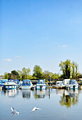 Leisure boats moored in Bedford marina, UK