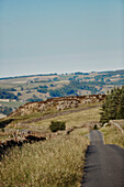 Einspurige Straße durch die Landschaft von Yorkshire, UK
