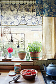 Basil and tomatoes with fabrics in window of Somerset kitchen, UK