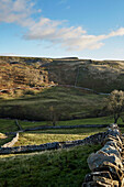 Trockenmauern und Ackerland auf einem Hügel in North Yorkshire im Herbst, UK