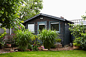 Garden shed with plants and chair Colchester, Essex, England, UK