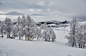 The view from the porch and windows of Litlestol a wooden cabin situated in the mountains of Sirdal, Norway