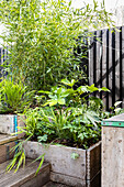 Low maintenance structural plants in reclaimed scaffold board planters Cardiff, Wales, UK