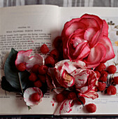 Rosa und rote Rosenblütenblätter und Himbeeren auf einem aufgeschlagenen Buch verstreut