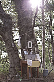 Makeshift wash stand in woodland, UK