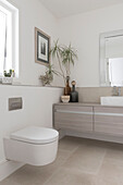 Wall hung toilet and houseplant with bottles in sustainable newbuild Highgate London UK