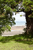 View through branches of tree to private beach on the Isle of Wight, UK