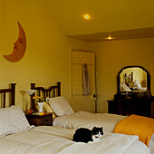 Yellow painted country style bedroom with twin beds and a black and white cat on the bed