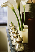 Marble topped antique cupboard with ornate table lamps and rows of hyacinths bulbs and Arum lilies