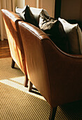 Detail of a pair of leather armchairs with silk and linen cushions on a striped rug