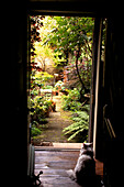 Cats looking at each other through open doorway into secluded patio garden