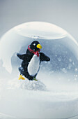 Pinguin-Schneelandschaft