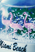 Flamingos in einer Souvenir-Schneelandschaft in Miami Beach