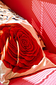 Nahaufnahme eines mit Rosenblüten bedruckten Streukissens in einem magentaroten Jugendzimmer