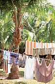 Wäscheleine mit farbenfroher Sommerkleidung, die in der Sonne unter Palmen trocknet