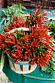Bouquets of chilli peppers