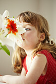 Drei Jahre altes Mädchen steht in rotem Kleid und riecht an Schnittblumen
