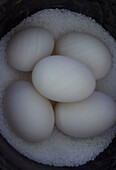 Dish of salt with white eggs in