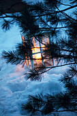 Lit lantern and pine tree in snow, Zermatt, Valais, Switzerland