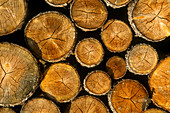 Detail von dicht gestapelten Holzscheiten in einem Holzstapel