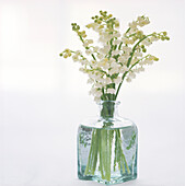 White bells of Lily-of-the-valley in glass jar