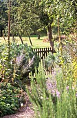 Pflanzen und Blumen in einem Obstgarten