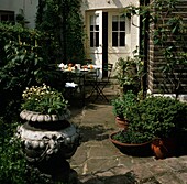 Hinterhof mit Topfpflanzen, Outdoor-Tisch und Stühlen