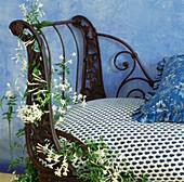 Ornate metalwork bench with cushions and jasmine